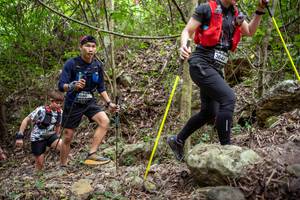 BIB: 
                            <button type="button" onclick="openModal(19381407)" class="btn btn-primary btn-sm float-right btn-popup" data-toggle="modal" data-target=".modal-high-quality">
                        <i class="fas fa-shopping-cart"></i> Add to Cart
                    </button>
                                            <button type="button" onclick="isThisMe(19381407, true)" class="btn btn-success btn-sm float-right btn-popup btn-isme hidden" data-toggle="tooltip" data-placement="bottom" title="นี่คือรูปของคุณใช่ไหม คลิกที่นี่เพื่อเอาเข้าอัลบั้ม">
                        <i class="fas fa-plus"></i> Add to album
                    </button>
                    <button type="button" onclick="isThisMe(19381407, false)" class="btn btn-warning btn-sm float-right btn-popup btn-isnotme hidden">
                        <i class="fas fa-ban"></i> Remove from album
                    </button>